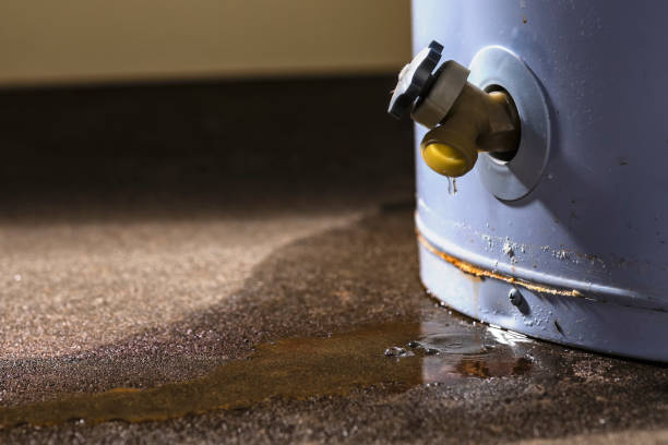 Best Water damage restoration near me  in Nibley, UT