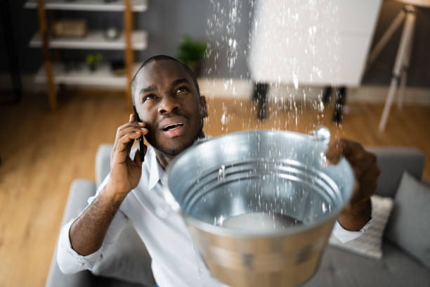 Best Carpet water damage restoration  in Nibley, UT