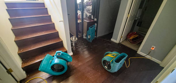 Carpet water damage restoration in Nibley, UT