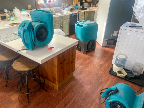 Best Commercial water damage restoration  in Nibley, UT