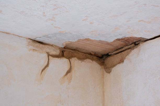 Best 24/7 water damage repair  in Nibley, UT