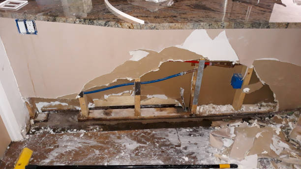 Best Water damage contractors near me  in Nibley, UT