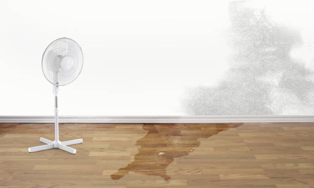 Water damage restoration insurance claims in Nibley, UT