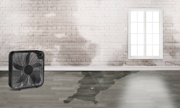 Water damage restoration process in Nibley, UT