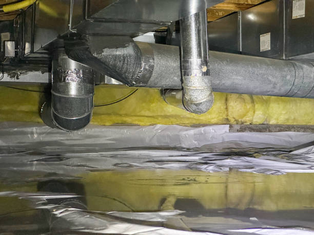 Best Carpet water damage restoration  in Nibley, UT