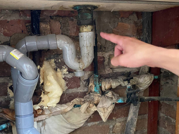 Best Water damage cleanup near me  in Nibley, UT