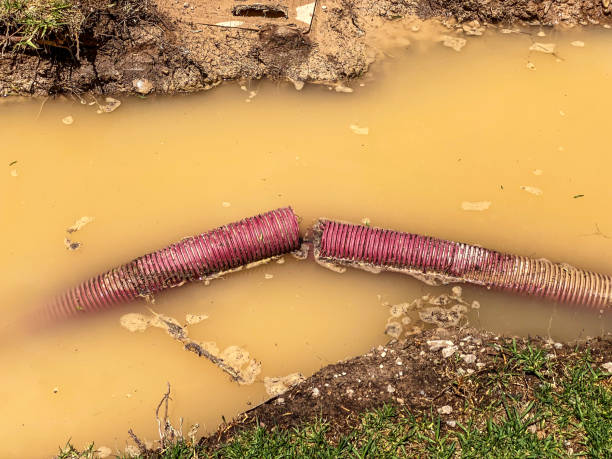 Best Flood restoration services  in Nibley, UT