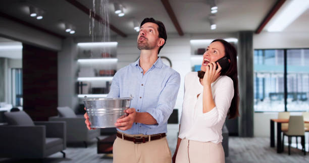 Best Flooded house restoration  in Nibley, UT