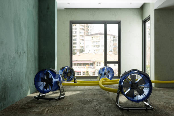 Local water damage restoration in Nibley, UT