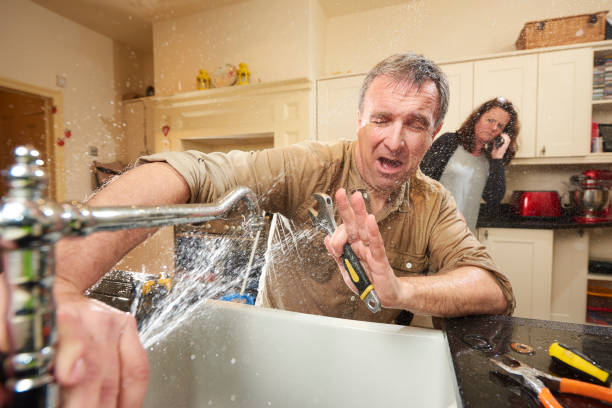 Reliable Nibley, UT Water damage restoration Solutions
